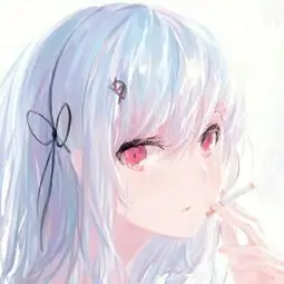 用户追番的阿泽的头像
